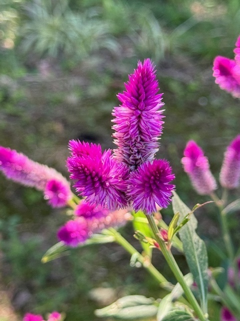 2024-10-12T12:07:55.jpg